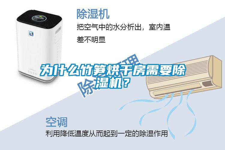 為什么竹筍烘干房需要除濕機？