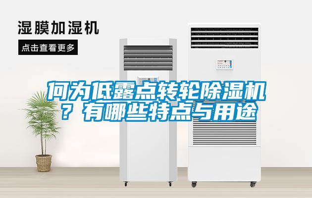 何為低露點轉(zhuǎn)輪除濕機(jī)？有哪些特點與用途
