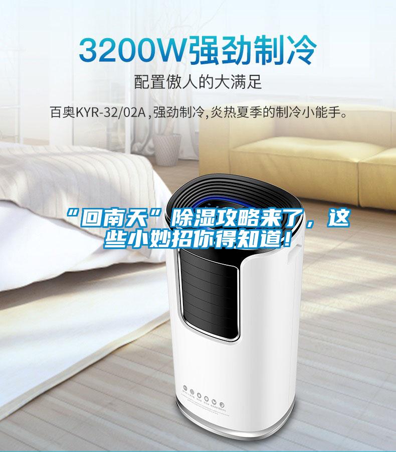 “回南天”除濕攻略來了，這些小妙招你得知道！