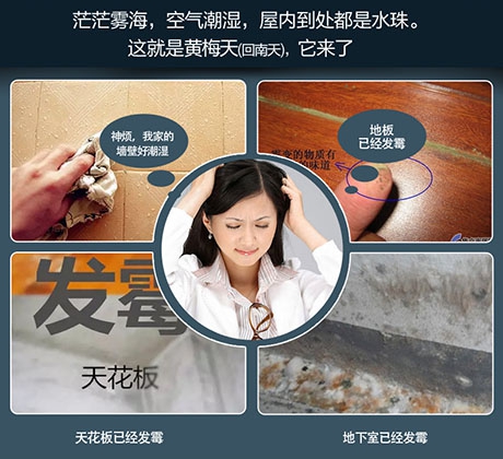 梅雨季，除濕機(jī)助你除潮去濕