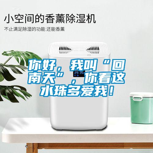 你好，我叫“回南天”，你看這水珠多愛我！