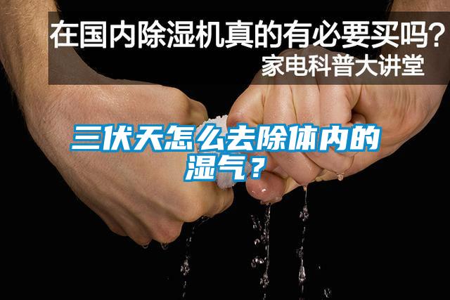 三伏天怎么去除體內(nèi)的濕氣？