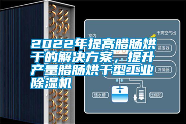 2022年提高臘腸烘干的解決方案，提升產(chǎn)量臘腸烘干型工業(yè)除濕機