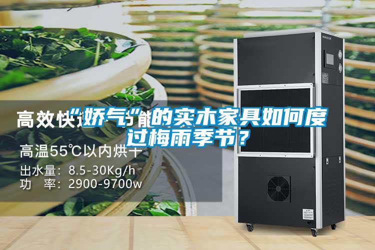 “嬌氣”的實(shí)木家具如何度過梅雨季節(jié)？