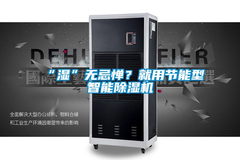 “濕”無忌憚？就用節(jié)能型智能除濕機