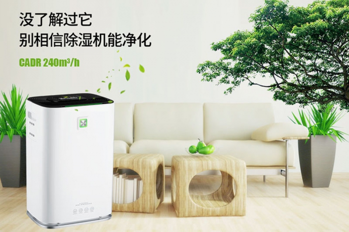 一到回南天狗狗就感冒+皮膚病，怎么辦？