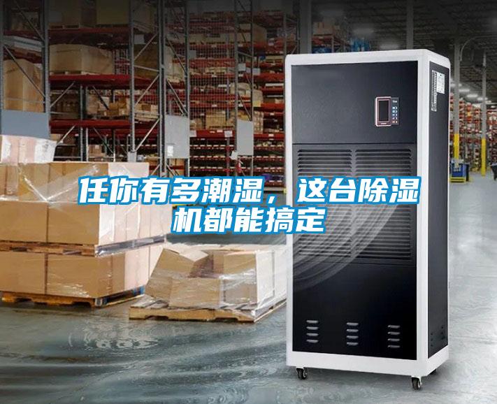 任你有多潮濕，這臺除濕機都能搞定