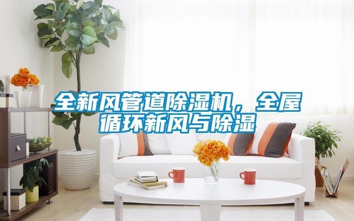 全新風管道除濕機，全屋循環(huán)新風與除濕