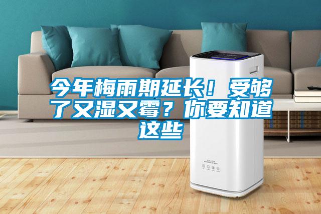 今年梅雨期延長！受夠了又濕又霉？你要知道這些