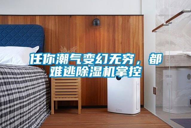 任你潮氣變幻無窮，都難逃除濕機掌控