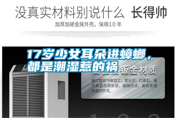 17歲少女耳朵進蟑螂，都是潮濕惹的禍