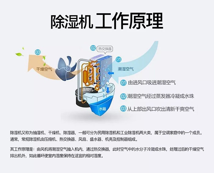 南方梅雨季到了房屋墻壁滲水、返潮怎么辦？