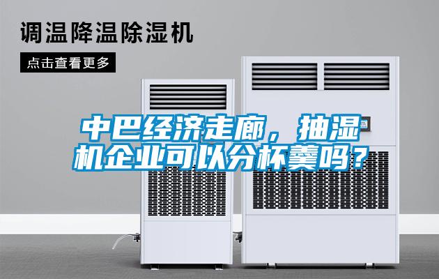 中巴經(jīng)濟(jì)走廊，抽濕機(jī)企業(yè)可以分杯羹嗎？