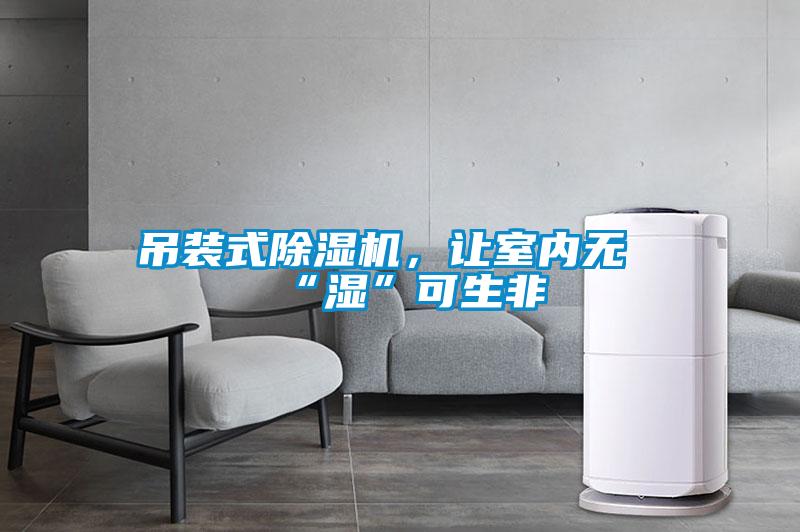 吊裝式除濕機(jī)，讓室內(nèi)無“濕”可生非