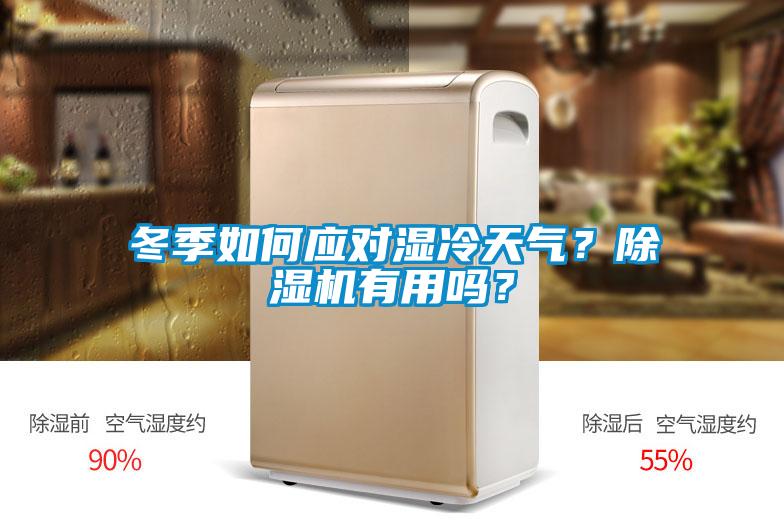 冬季如何應(yīng)對濕冷天氣？除濕機有用嗎？
