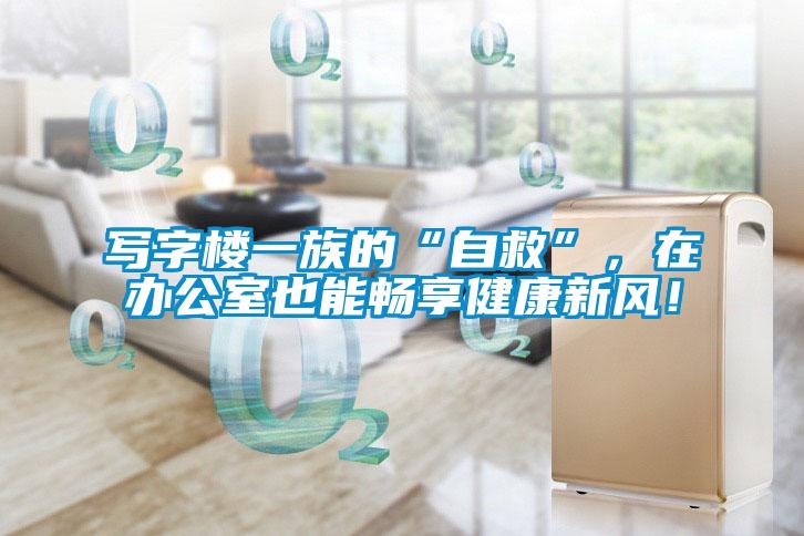 寫字樓一族的“自救”，在辦公室也能暢享健康新風(fēng)！