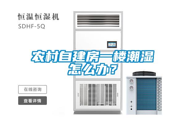 農(nóng)村自建房一樓潮濕怎么辦？