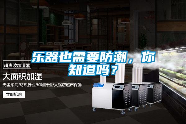 樂器也需要防潮，你知道嗎？