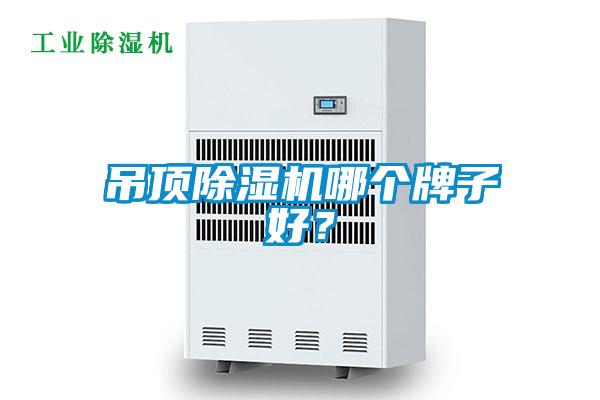 吊頂除濕機哪個牌子好？
