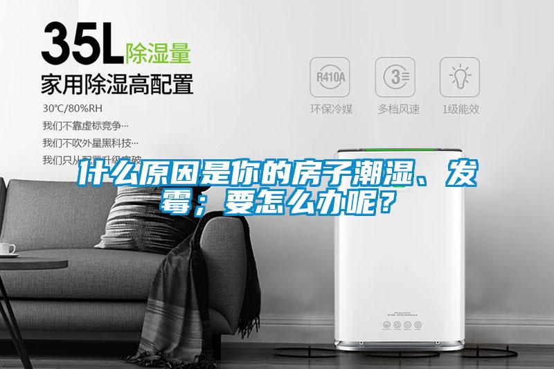 什么原因是你的房子潮濕、發(fā)霉；要怎么辦呢？