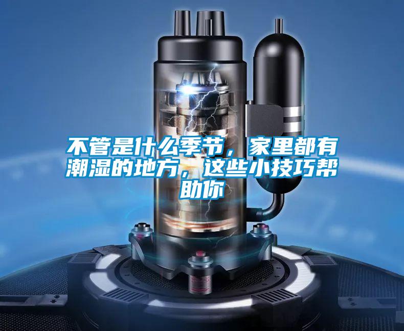 不管是什么季節(jié)，家里都有潮濕的地方，這些小技巧幫助你