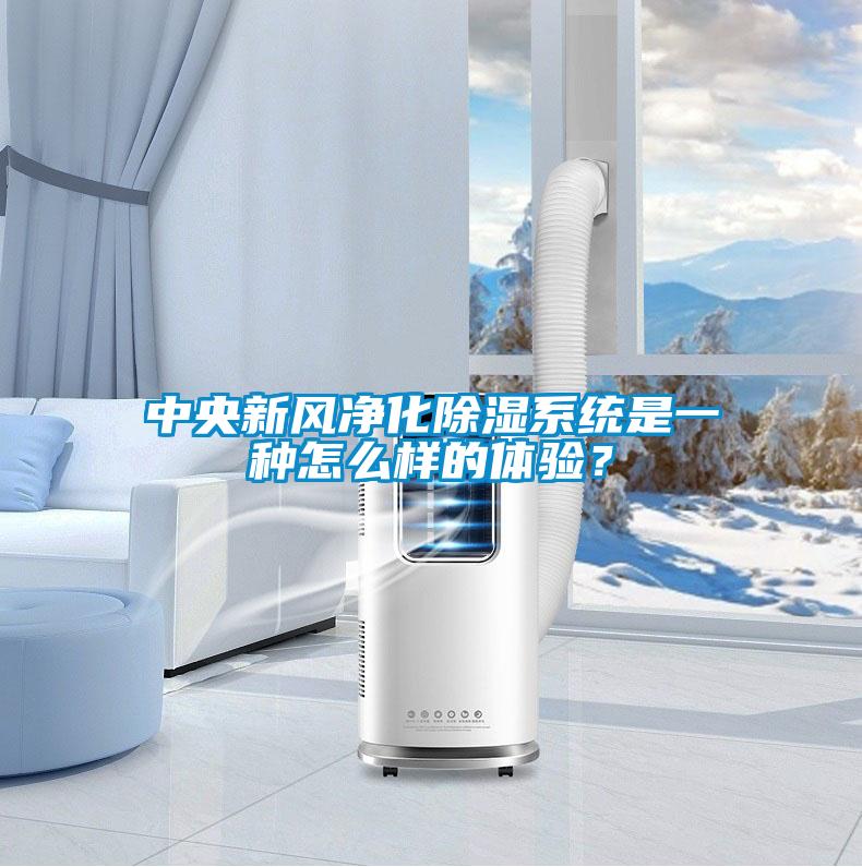 中央新風(fēng)凈化除濕系統(tǒng)是一種怎么樣的體驗(yàn)？