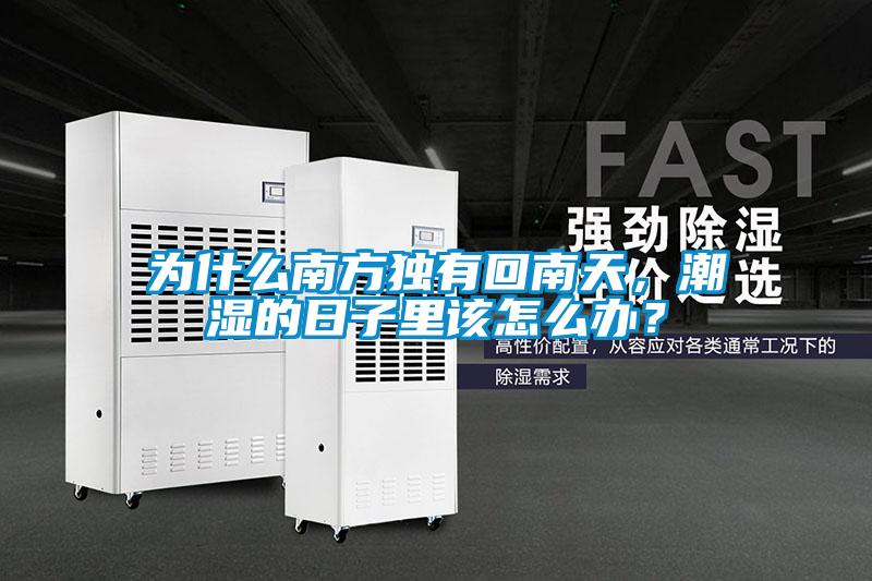 為什么南方獨(dú)有回南天，潮濕的日子里該怎么辦？