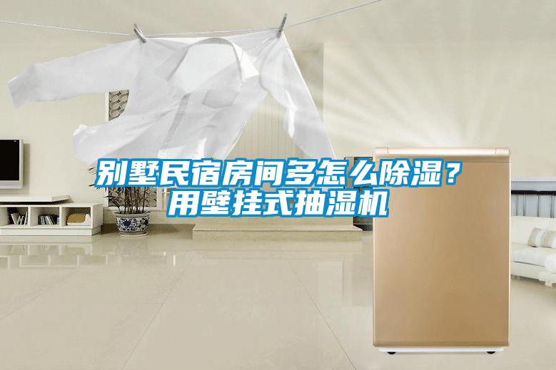別墅民宿房間多怎么除濕？用壁掛式抽濕機(jī)