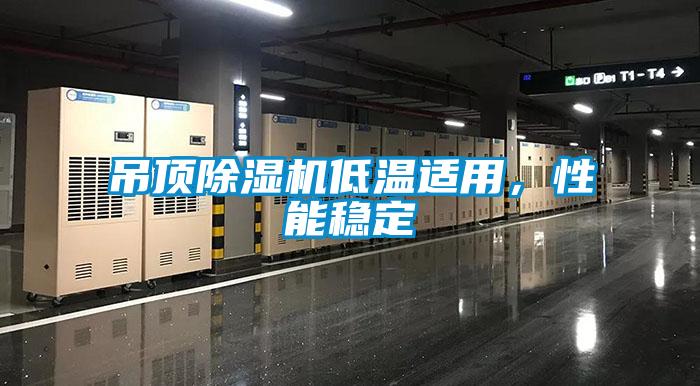 吊頂除濕機低溫適用，性能穩(wěn)定