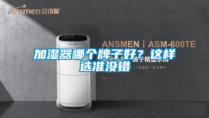 加濕器哪個(gè)牌子好？這樣選準(zhǔn)沒錯(cuò)