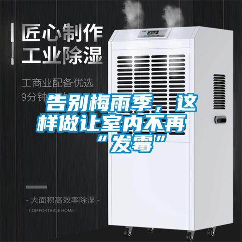 告別梅雨季，這樣做讓室內(nèi)不再“發(fā)霉”