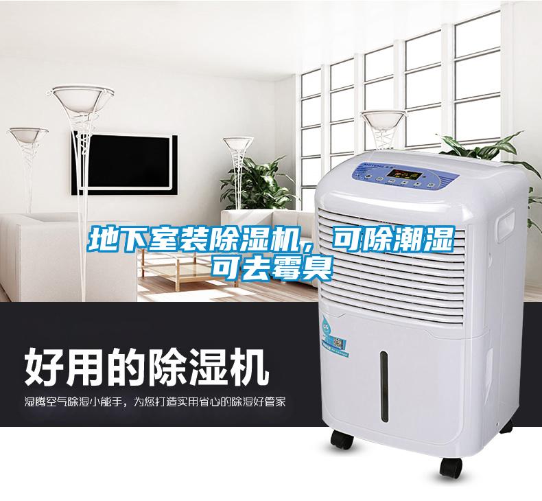地下室裝除濕機，可除潮濕可去霉臭