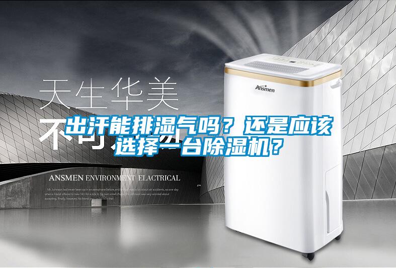 出汗能排濕氣嗎？還是應(yīng)該選擇一臺除濕機？