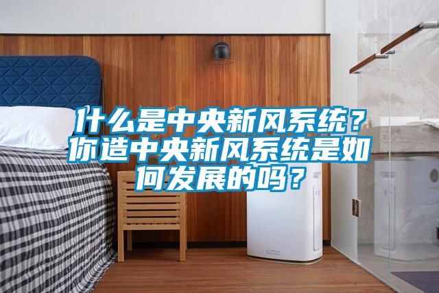 什么是中央新風系統(tǒng)？你造中央新風系統(tǒng)是如何發(fā)展的嗎？