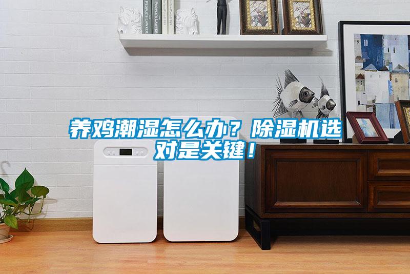 養(yǎng)雞潮濕怎么辦？除濕機(jī)選對(duì)是關(guān)鍵！