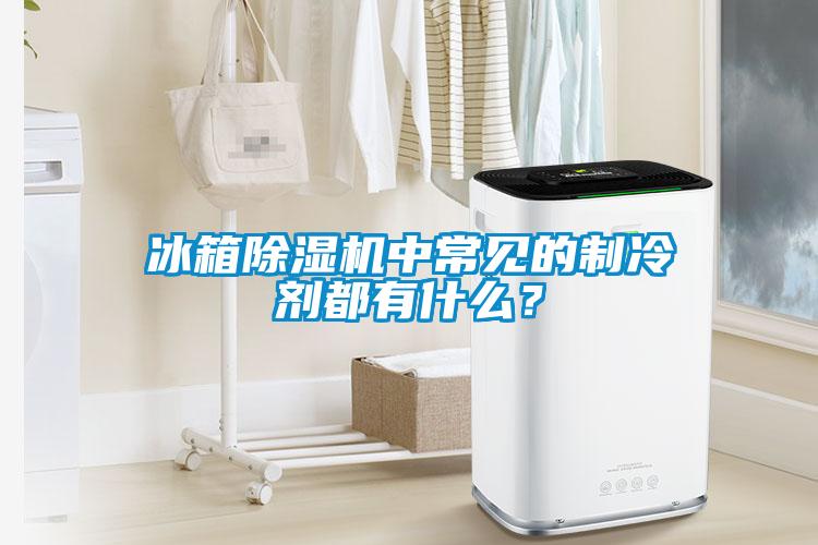 冰箱除濕機中常見的制冷劑都有什么？
