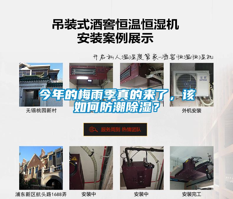 今年的梅雨季真的來了，該如何防潮除濕？