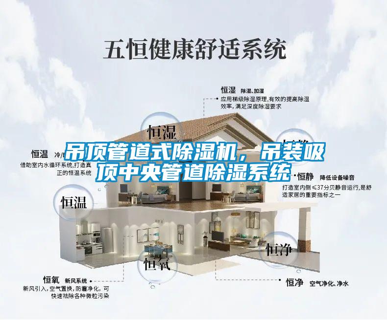 吊頂管道式除濕機(jī)，吊裝吸頂中央管道除濕系統(tǒng)