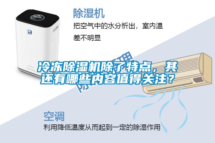 冷凍除濕機(jī)除了特點(diǎn)，其還有哪些內(nèi)容值得關(guān)注？