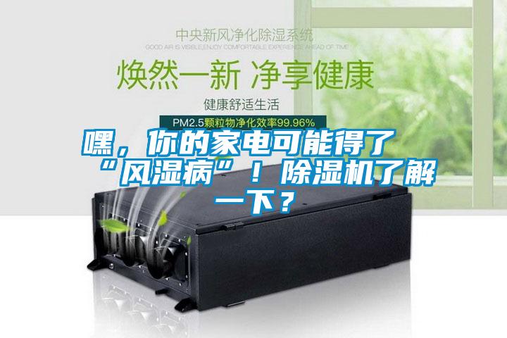 嘿，你的家電可能得了“風(fēng)濕病”！除濕機了解一下？