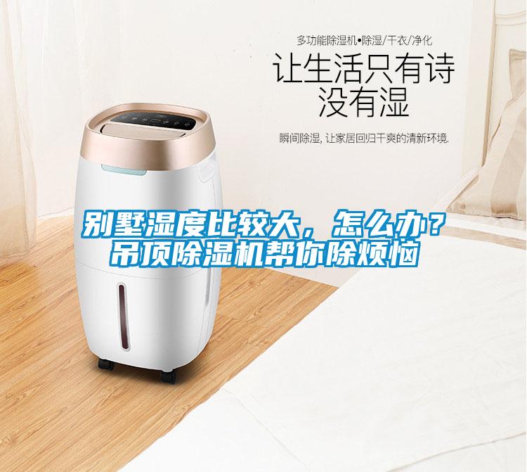別墅濕度比較大，怎么辦？吊頂除濕機幫你除煩惱