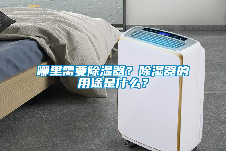 哪里需要除濕器？除濕器的用途是什么？