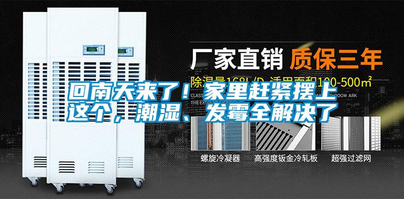 回南天來了！家里趕緊擺上這個，潮濕、發(fā)霉全解決了