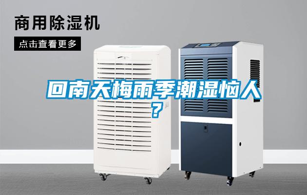 回南天梅雨季潮濕惱人？