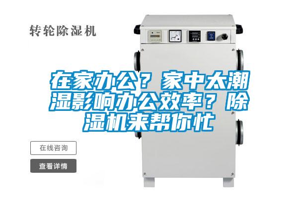 在家辦公？家中太潮濕影響辦公效率？除濕機(jī)來(lái)幫你忙