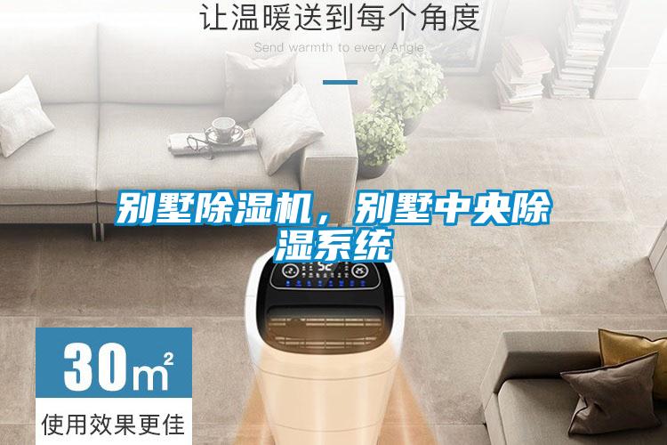 別墅除濕機(jī)，別墅中央除濕系統(tǒng)