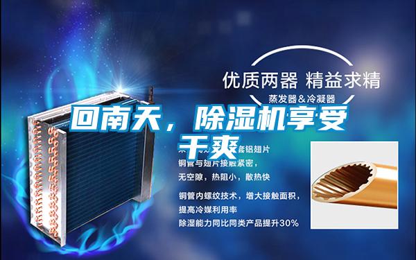 回南天，除濕機(jī)享受干爽