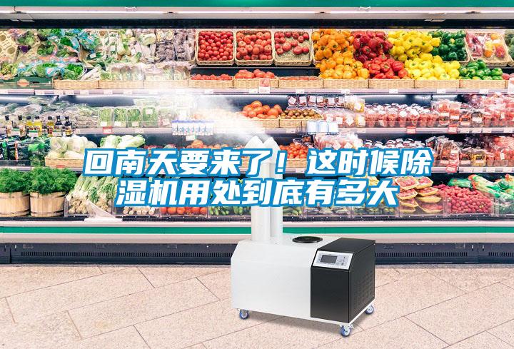 回南天要來了！這時候除濕機用處到底有多大
