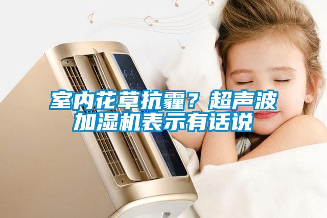 室內(nèi)花草抗霾？超聲波加濕機(jī)表示有話說