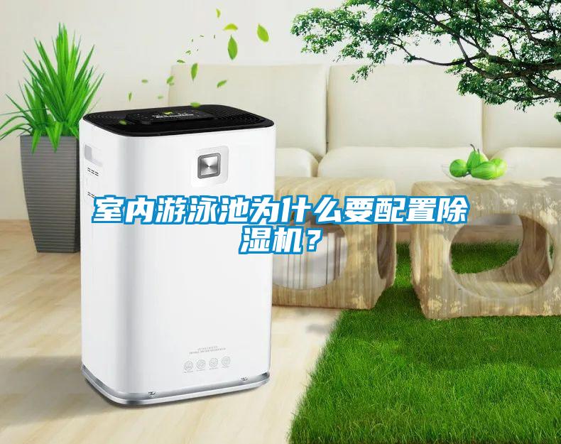 室內(nèi)游泳池為什么要配置除濕機？
